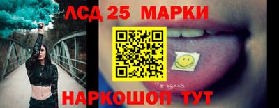 индика Аргун