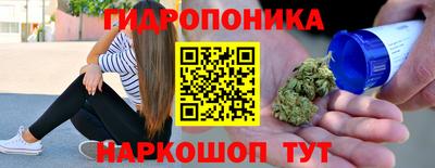 индика Аргун
