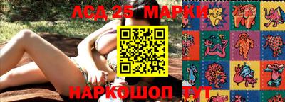 индика Аргун