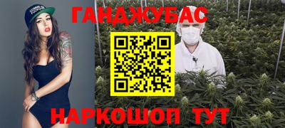 индика Аргун