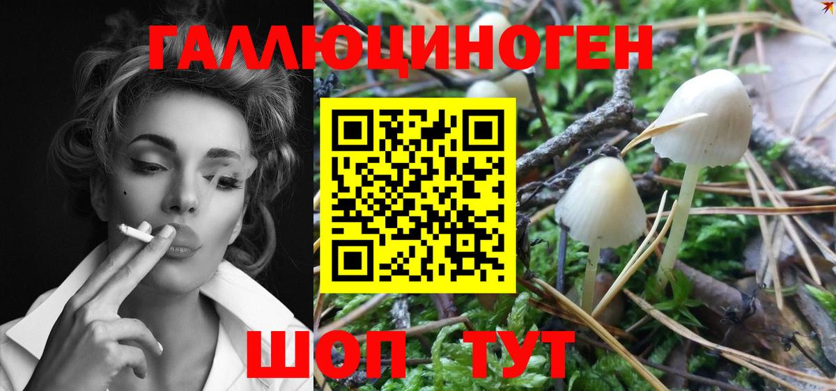 Псилоцибиновые грибы GOLDEN TEACHER Барнаул