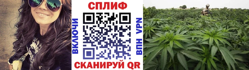 OMG зеркало  Барнаул  Канабис Bruce Banner 